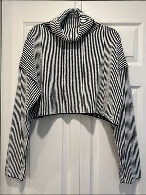 Cropped Striped Turtleneck Sweater in Black & White
